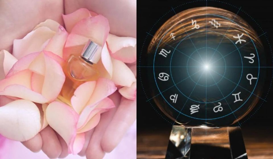 ����� ������� ���������, ��� �� �� ���������: �������� ��� ���� ����������� �������