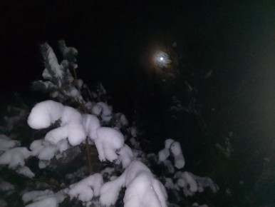 � ���� �� 6 ������ ���� ���� ���������� ������ ��� ��� ��������� ��������