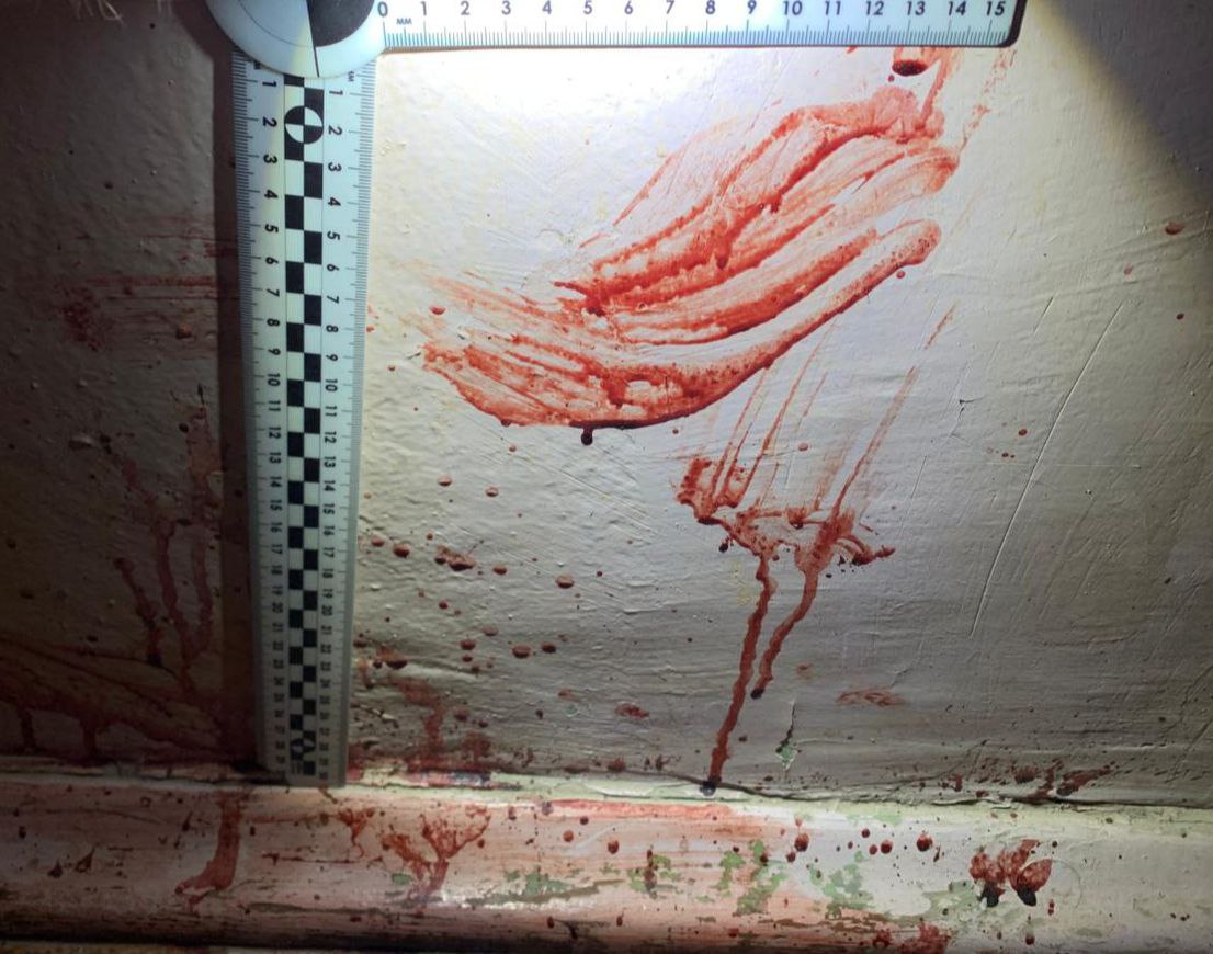 Жительница Жукова рассказала и показала, как убила своего сожителя Жительница Жукова рассказала и показала, как убила своего сожителя