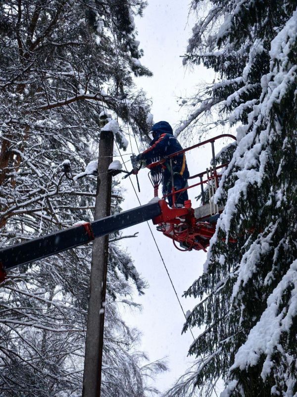 ������ �������� ��������� ���� ������� ��������� �������