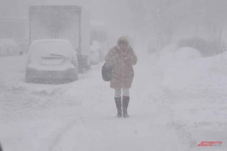 � ���� ������������� �����