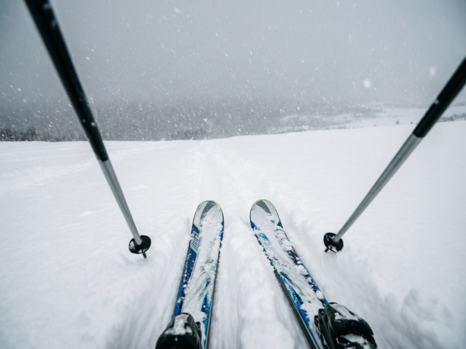 � ����-�������� ��-�� �������� �������� ������ ������������