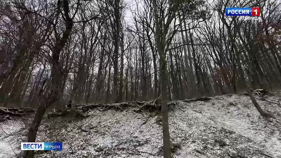 �� ���� ����������� �����. � �������������� ������ ���� ����������� ����������� ��������� ������� ����� ����� ��� ��-�� �������� �������, ������� �������������� � ����� � ��������� �����