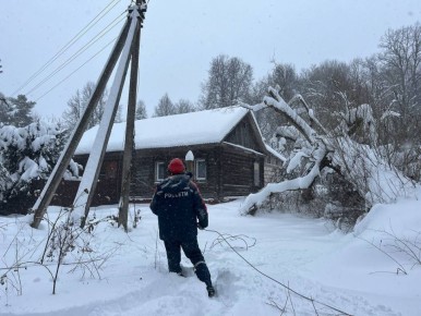 ���������� ������������ ���������������� � ��������� �������