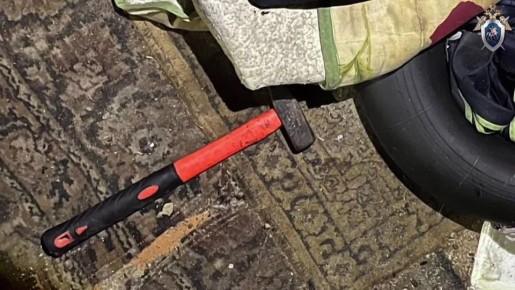 В Калуге женщина убила знакомого молотком и спрятала тело в курятнике