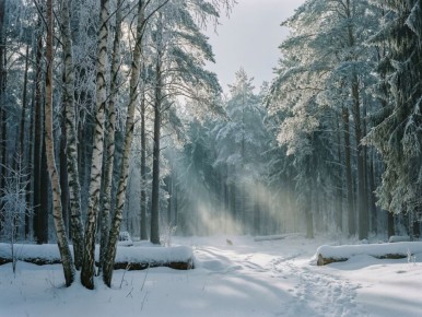 ��������� ����: ���������� ������