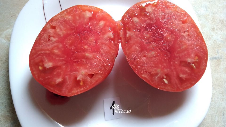 ��� ��������� �������� �������� ��� �������: ������� ������