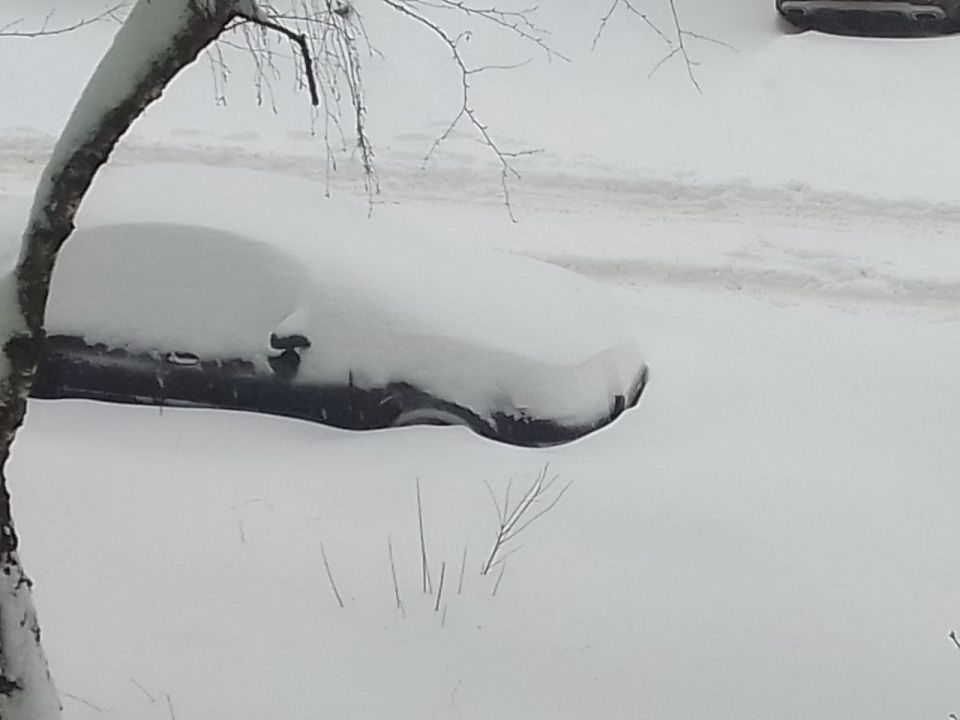 ����� � ��� ������� ���������� �� ������? ��� ����������?