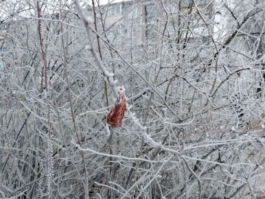 ������ ������� ������� ������ �� ������ ������� ������ ����