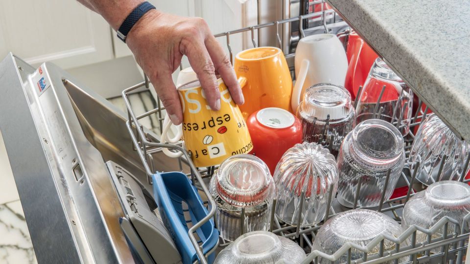 ������ ����� ����������� ������� ���������� �� ���: ��� ��� ����� ������ ��� �������