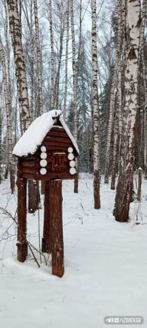 Снежные пейзажи в городе Кременки Жуковского округа