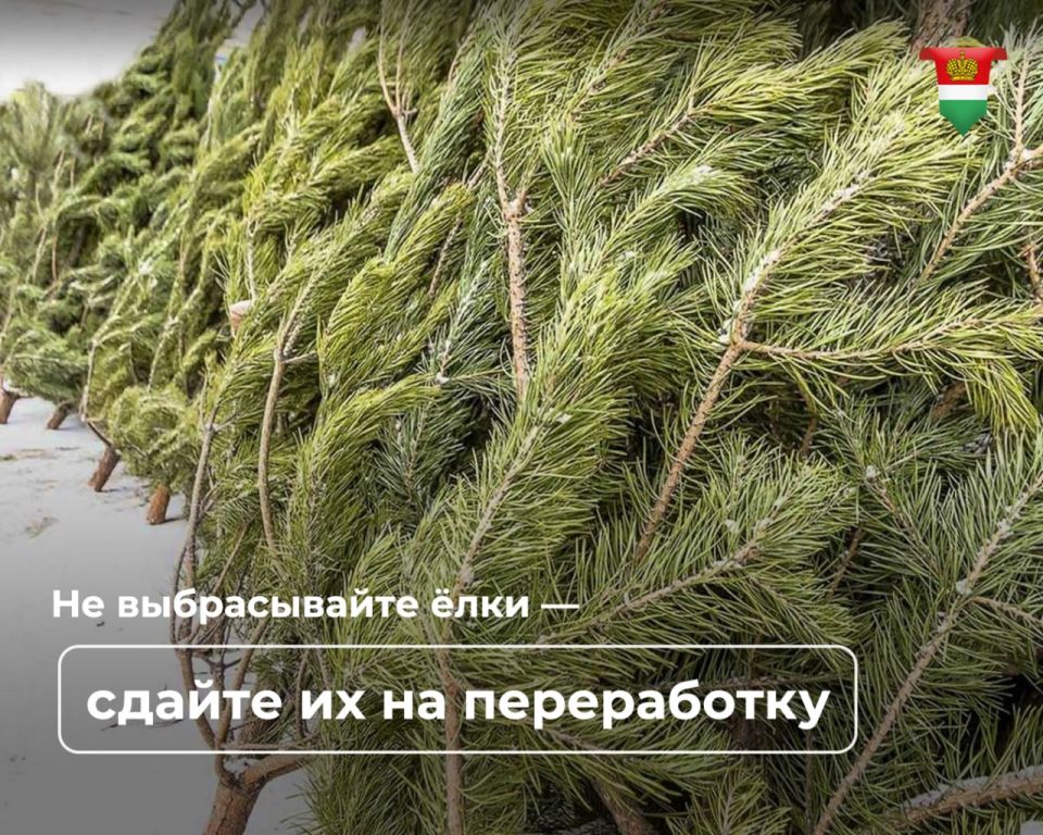 � ������ ��������� ���� ���������� ���� ��� �����������