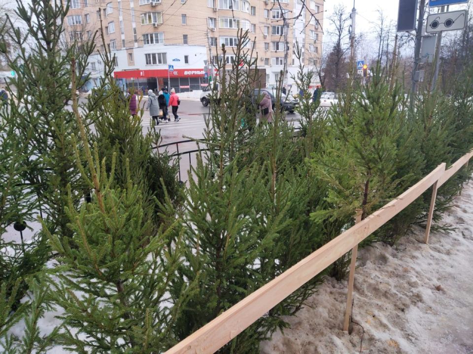 ������� ������ ����� ���� �� �����������