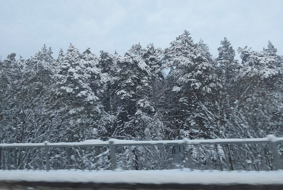 � ��������� ������� ������ �������� ��� ������������� ����������