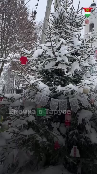 Тарусская ёлка борется за звание лучшей среди малых городов