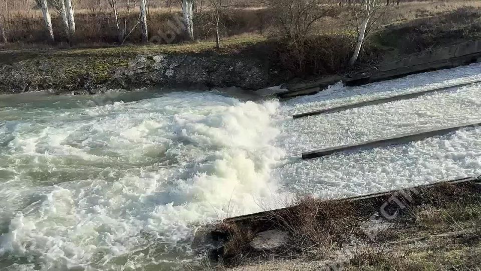 � ����� ������� ����������� �������������