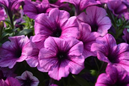 �������� ���: 7 ������������� �������� ��� ������ ���� ���� �����