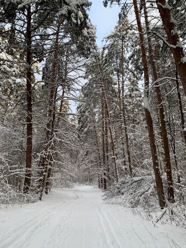 ���������� ����� ������� ��������� �������