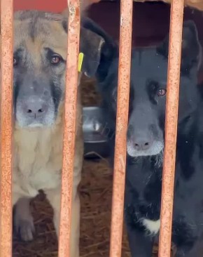 ��������� �������. �������� ������