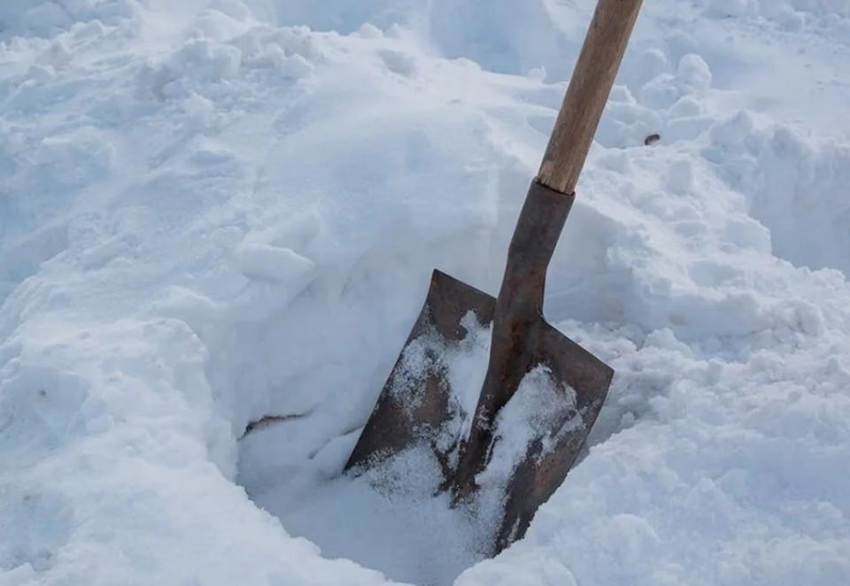 � ��������� ����������� �������� ������ �������� � ������� �����