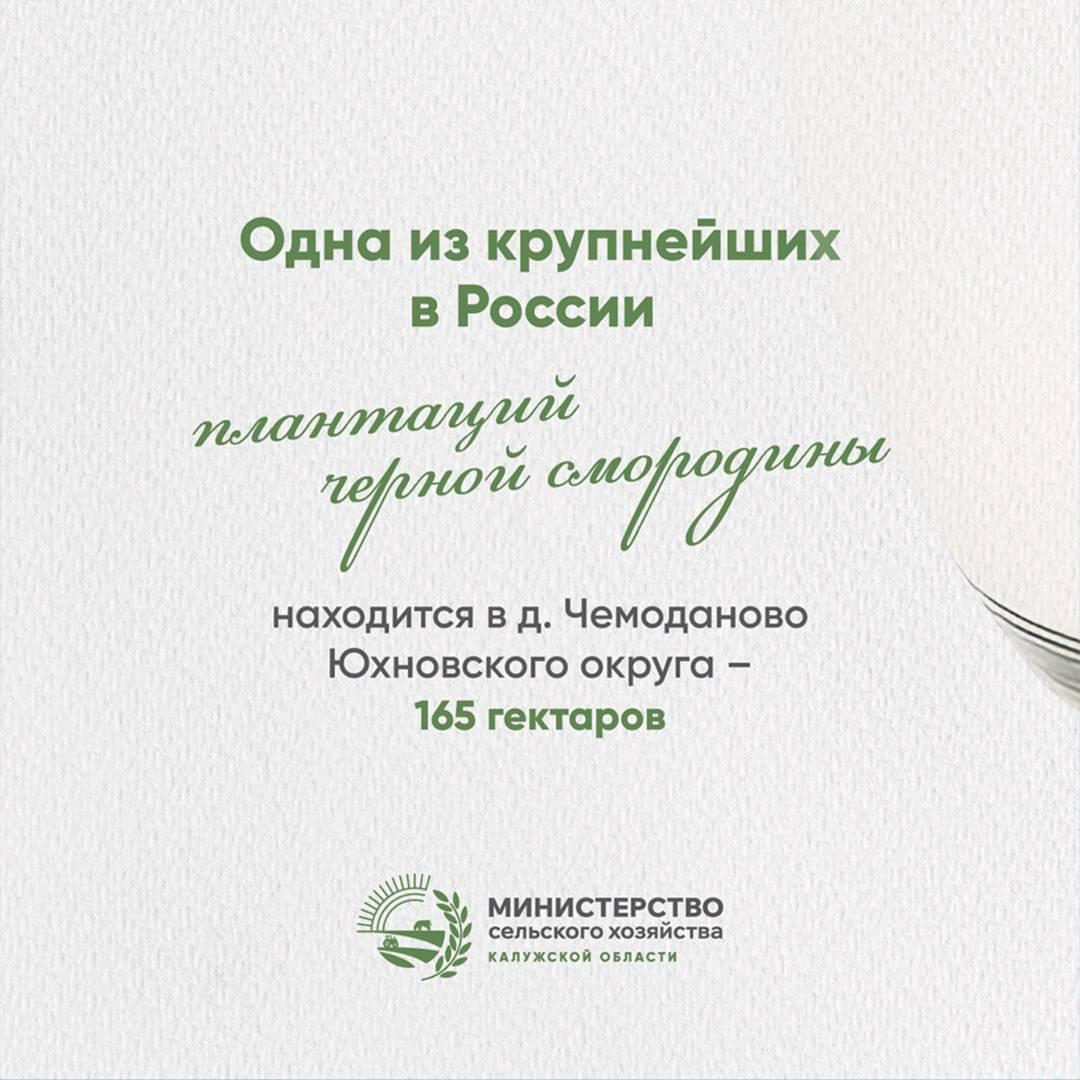 Минсельхоз Калужской области поделился главными достижениями АПК за 2025 год Минсельхоз Калужской области поделился главными достижениями АПК за 2025 год