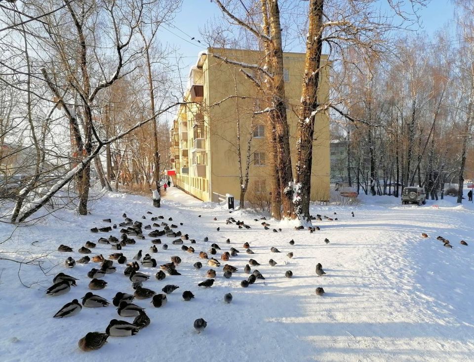 130 ���� ������ �� ����� ������ � ������