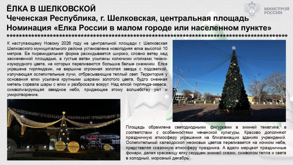 2,2 тысячи голосов набрала ёлка из Тарусы в голосовании за лучшую в России