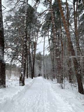 ������� ������������ �������� ������, ��������� ���� � ����������.����������� ������� ���� ����� -11�C...-13�C, ����� -12�C