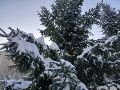 В Калужской области ожидается морозная погода