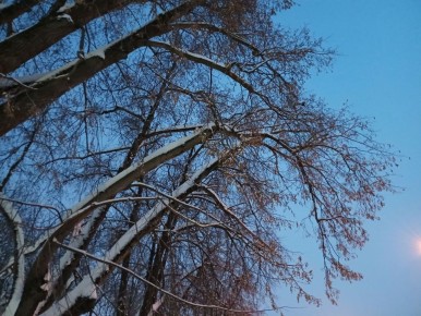 �������� ��������� ��������� ����� � ��������� �������