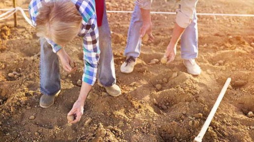 ��������� ������������������ ��������� � ������� ������� �������