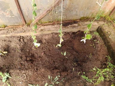 ������ �������� ����� ������ � �������? ������� � �������