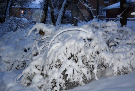 � ��������� ������� ������� ���������