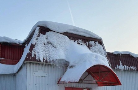 ���������������� � ��������� ������� ��������� �� ������ ����