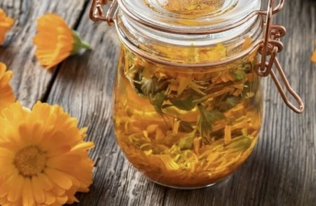 ������������ �����: ��� �������� ������� �������� ��� �������� � �������