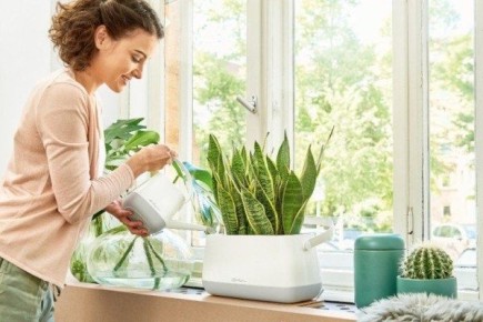 ��� ������ �������� �� ��������������: ����������� ������