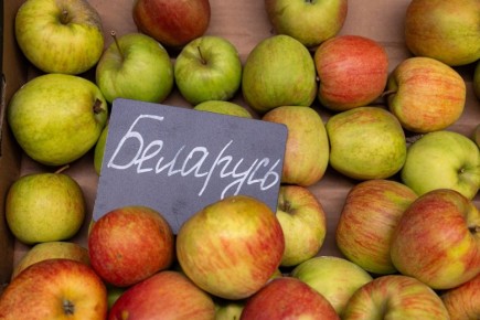 ������ ����� � ������ � ��������: ��� ���� ����������� � 2026 ����?