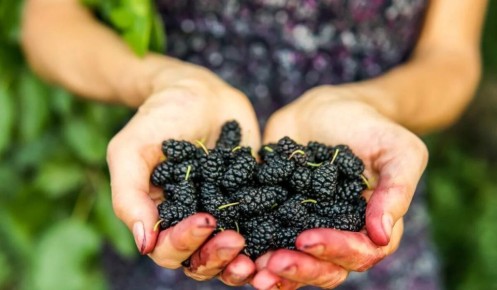 ��� �������� ���� �� ��������� ��� ������