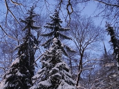 ����� � ������ �������� �������� ���������