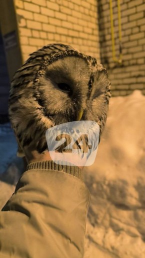 ���� ����� �� ������� �� ����� �������� � ������