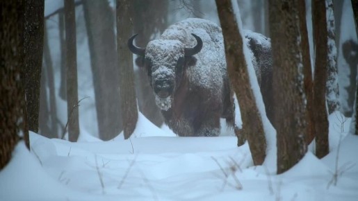 �������������� ����� � ������ �� ��������� �������