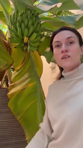 � ��������� ������� ��������� �������� ������ ����������� �������