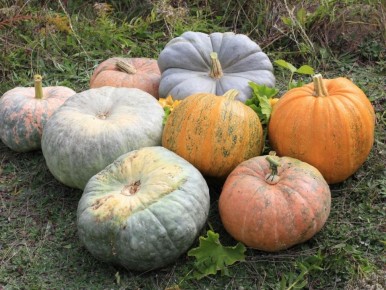 ��� �������� ���������� �����: ����������� ������ ��� ��������