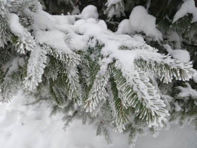 � ��������� ������� ���������� ��������� ������