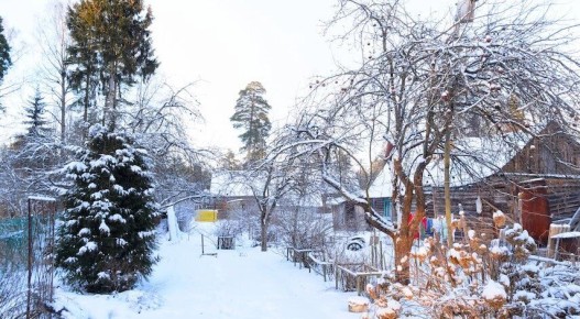 ��� �������� ��� �� �������: ������ ��� ���������