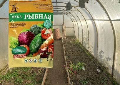 ����������� ��������� �� ������ ����: ������ ��������� ���� � �������