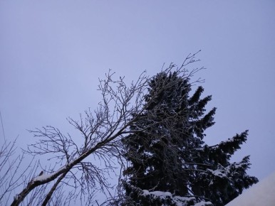 �������� � ����������� ��������� ��������� � ��������� �������