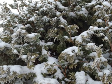 � ����� � ��������� ������� ������������ ��������� ����������