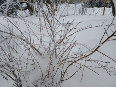 �������� ������ ��� �������