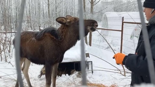 ����� �������� ����������� � �������� � ����� ������